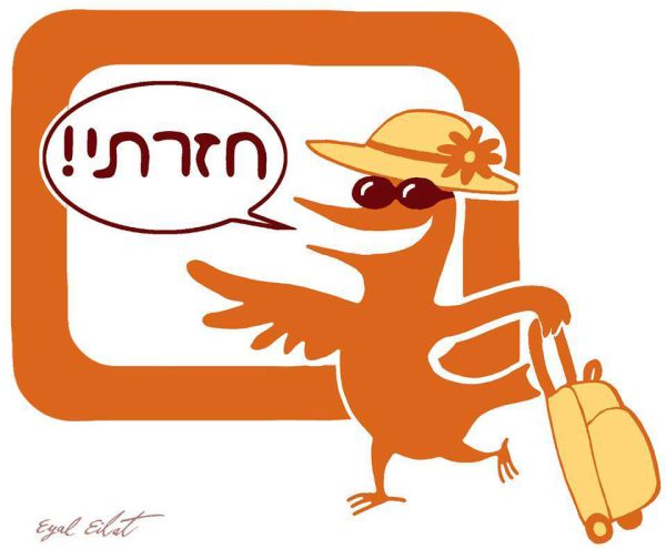 דף סטטוסים מצייצים שוב נמחק מפייסבוק