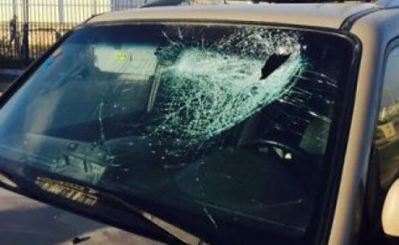 "אם כל האירועים היו מסתיימים כך התופעה הזאת הייתה נגמרת"