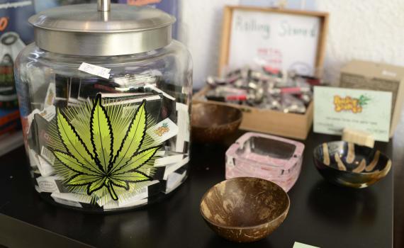 ליצמן: נאפשר קניית קנאביס בבית מרקחת