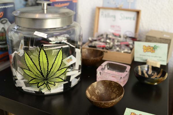 ליצמן: נאפשר קניית קנאביס בבית מרקחת