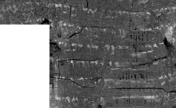 מגילה מלפני 1500 שנה פוענחה כספר ויקרא