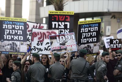 חוק יסוד צער בעלי חיים- השוואה בין האדם לבהמה