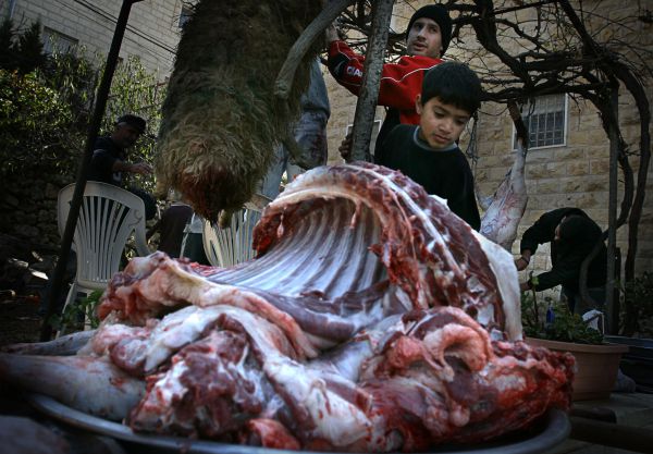 אכילת בשר היא בסך הכל תאווה ייצרית, אז למה?