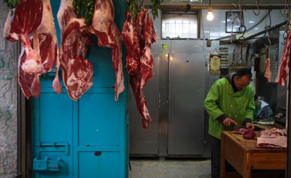 אם הרב קוק היה חי היום, הוא היה צמחוני?