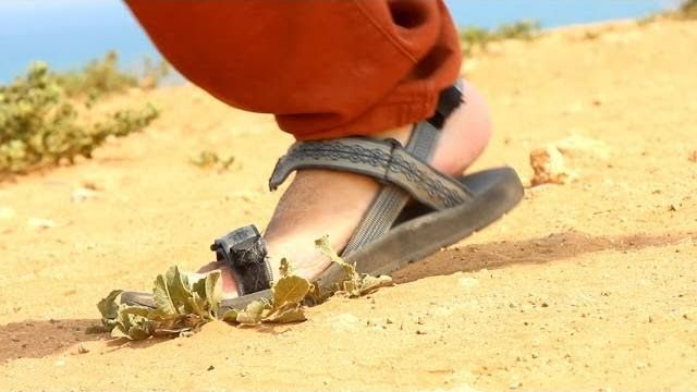 צפו בחדש של אנדרדוס: "סנדלים"