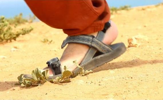 צפו בחדש של אנדרדוס: "סנדלים"