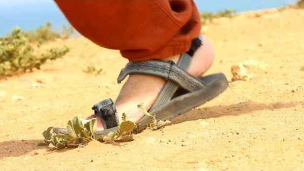 צפו בחדש של אנדרדוס: "סנדלים"