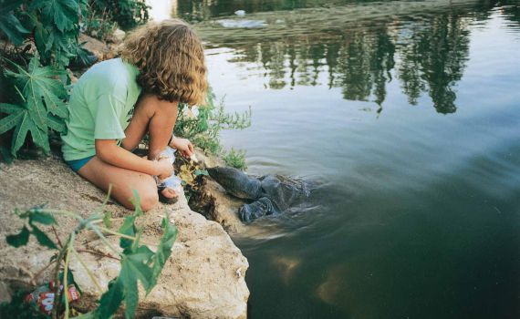 סוכות תשע"ו: מדריך הטיולים והאטרקציות לציבור הדתי