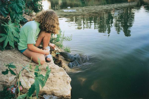 סוכות תשע"ו: מדריך הטיולים והאטרקציות לציבור הדתי
