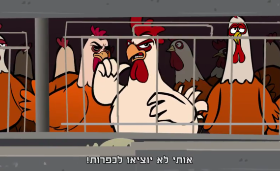המרד בלול: התרנגולים נגד מנהג הכפרות. צפו