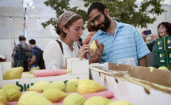 ארבעת המינים במוצאי השמיטה, על מה צריך להקפיד?