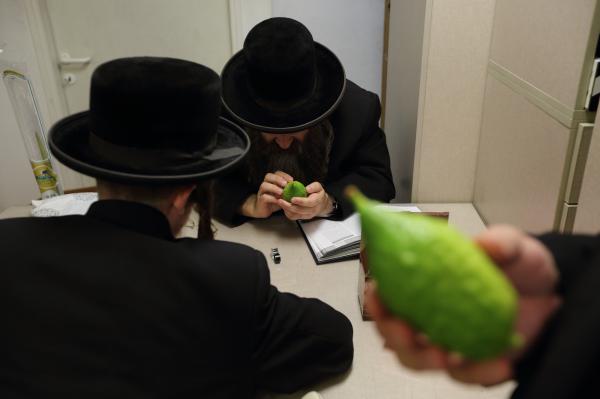 אתרוגי אוצר בית דין? "שערוריה ועושק הצבור"