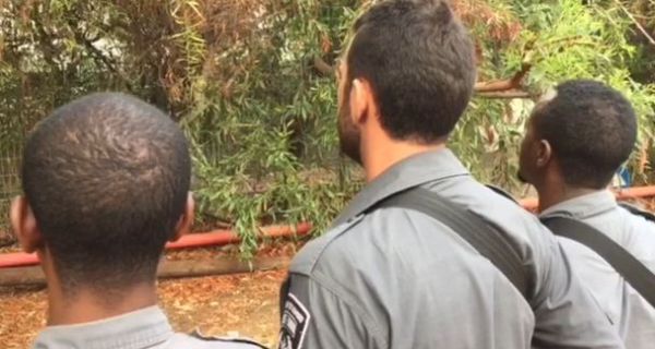 הלוחמים משחזרים: "ביצעתי ירי מדוייק"; צפו