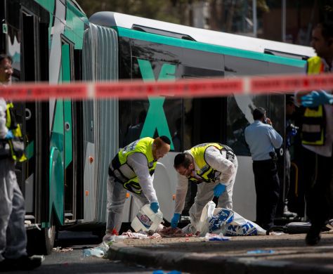 למה אנו מפחדים מפיגוע יותר מתאונת דרכים?