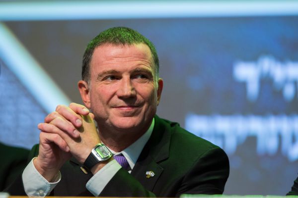 אדלשטיין: "אפשר להיות ח"כ בלי להיות פירומן"