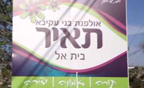 התלמידות שובתות: אל תסגרו לנו את האולפנה