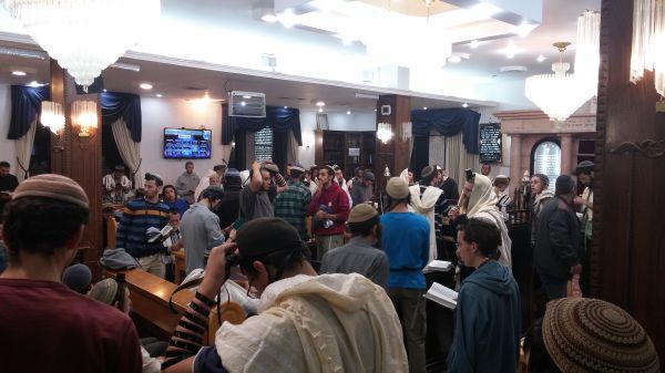 "נילחם עד זוב דם; יהיו כאן הרוגים ומתאבדים"