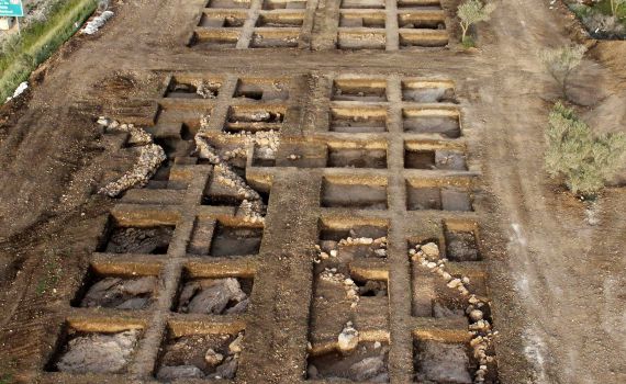 החוקרים מצאו: האדם הקדמון אכל חומוס ופול