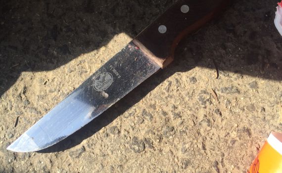 שני מחבלים בני 12 דקרו מאבטח בפסגת זאב