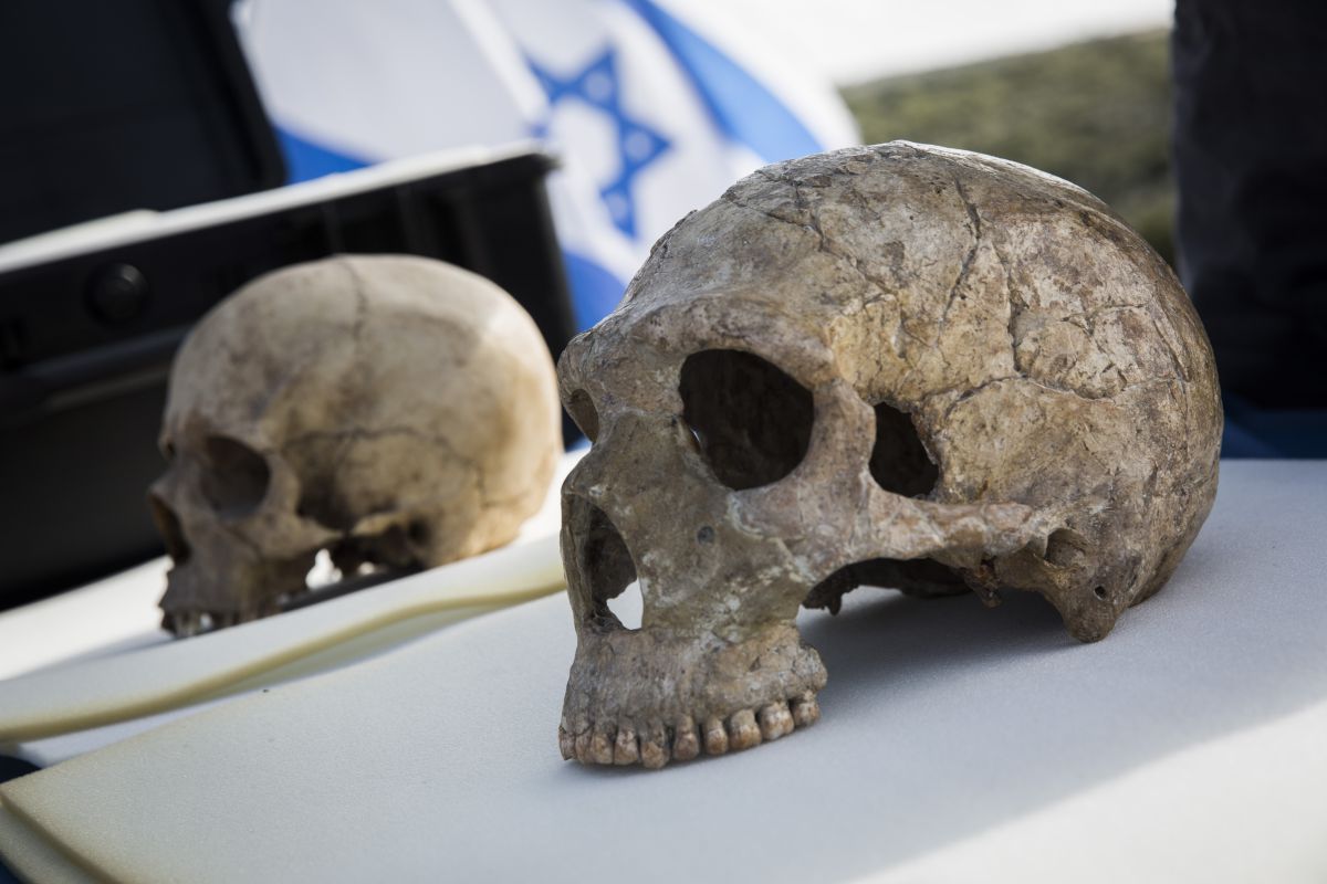 גילוי אדם בן 10,000 שנה, זה לא כפירה בתורה?