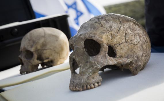 גילוי אדם בן 10,000 שנה, זה לא כפירה בתורה?