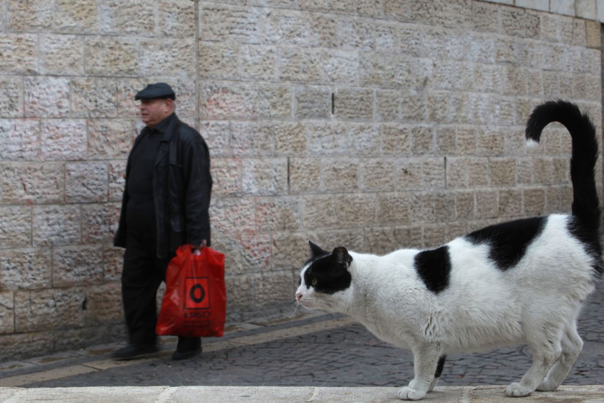 דעה: אורי אריאל צריך ללמוד מהשמאלנים