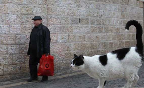 דעה: אורי אריאל צריך ללמוד מהשמאלנים