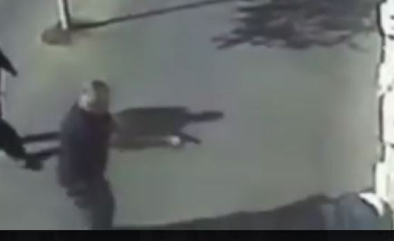 מועלם: "חקירת השוטר שירה במחבלת – איוולת"