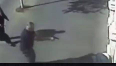 מועלם: "חקירת השוטר שירה במחבלת – איוולת"