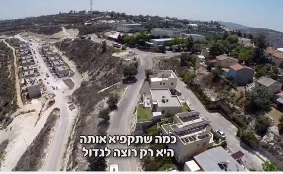 משה פרץ גרסת קדומים: "היא רק רוצה לגדול"