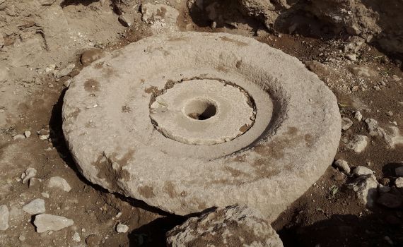 לכבוד החנוכה: נחשף בית בד בן כ-1300 שנים בשילה