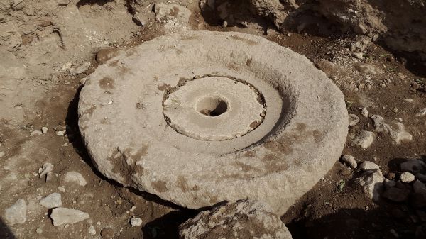 לכבוד החנוכה: נחשף בית בד בן כ-1300 שנים בשילה