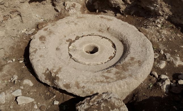  לכבוד החנוכה: נחשף בית בד בן כ-1300 שנים בשילה