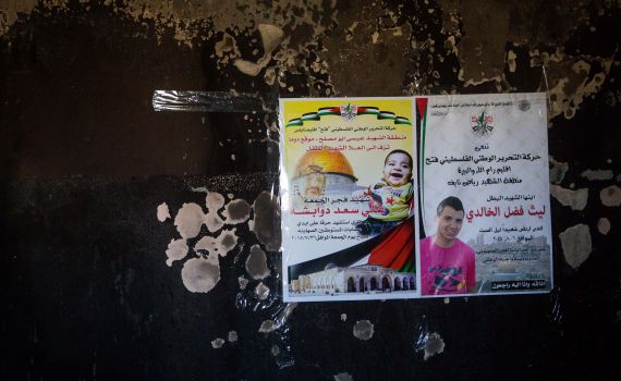 פולי מרדכי: ישראל תשלם על הטיפול בדוואבשה