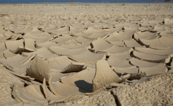 פרשת 'בשלח': לחשוף את פיסת האדמה