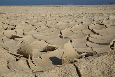 פרשת 'בשלח': לחשוף את פיסת האדמה