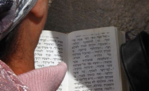 צאו מזה, "פרשת המן" היא לא סגולה לפרנסה