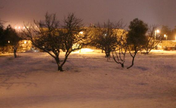 גרים בגוש עציון? כך הנוף שלכם נראה הבוקר; גלריה