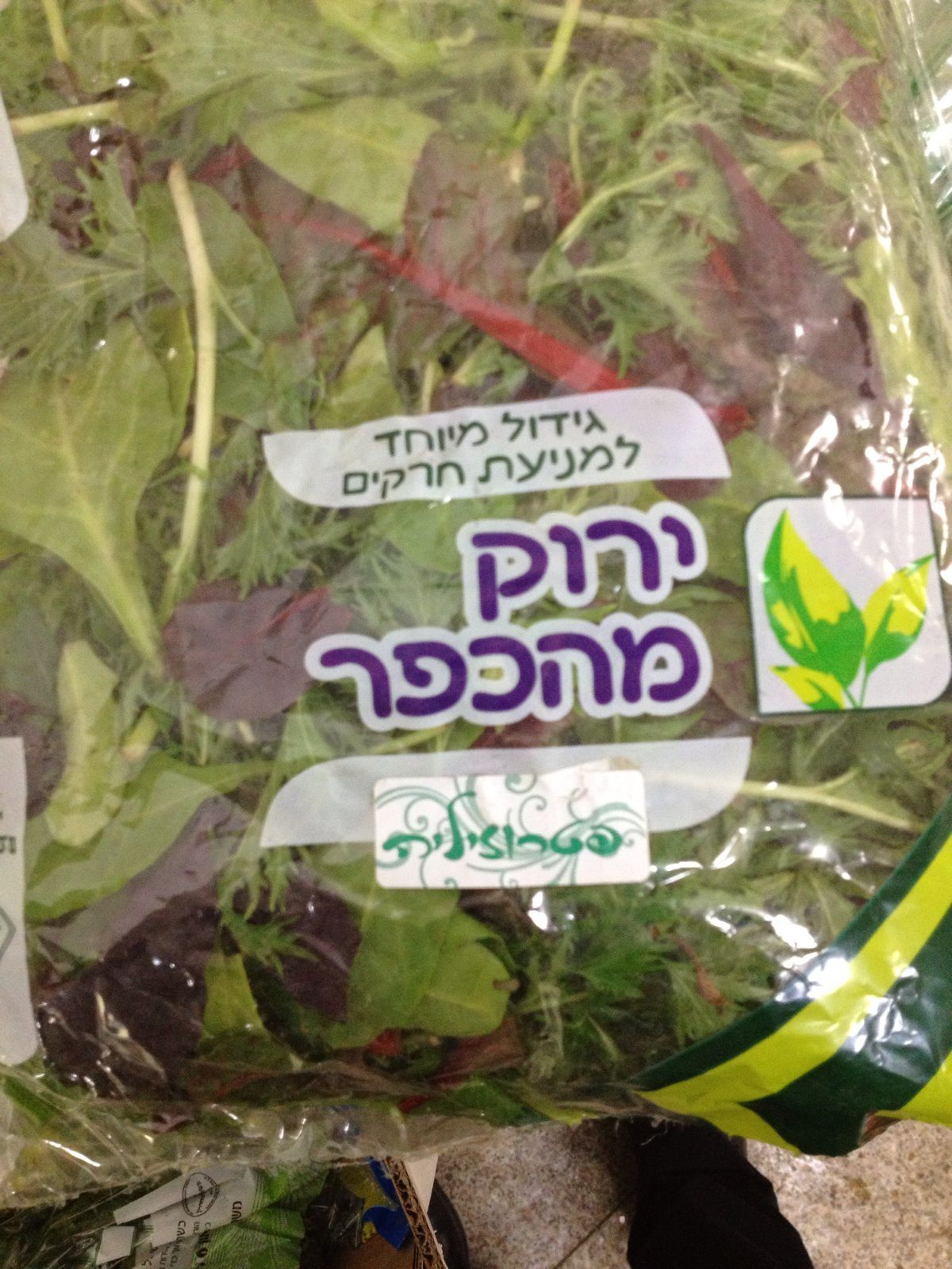 בזכות חיפושית, הרבנות תפסה זייפן כשרות