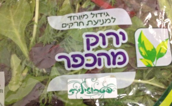 בזכות חיפושית, הרבנות תפסה זייפן כשרות