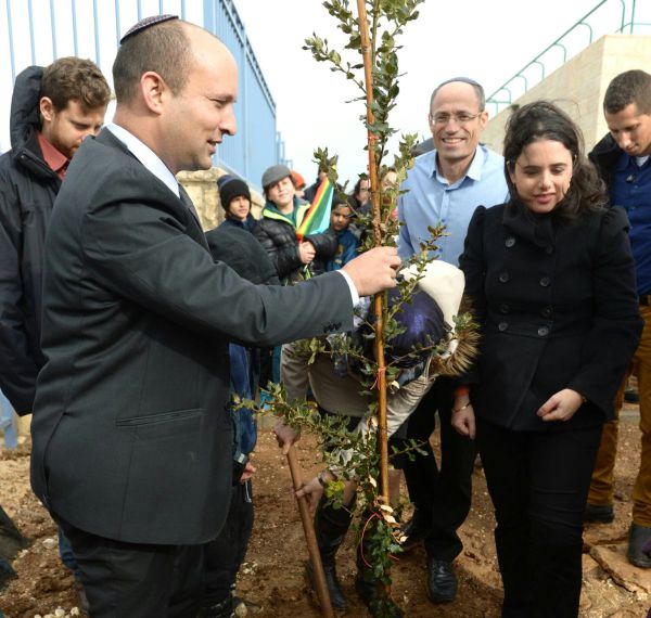 נוטעים בתקוע: התשובה לטרור היא צמיחה