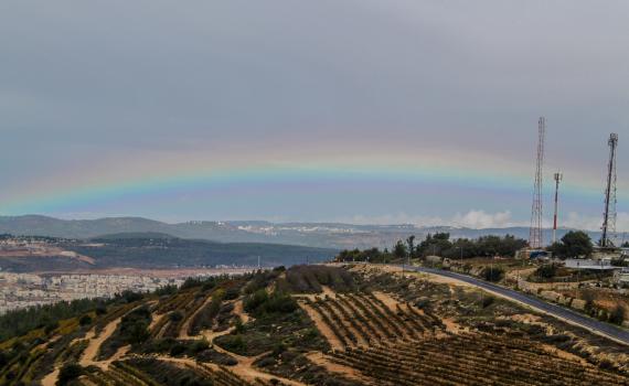גשמי ברכה: הכנרת עלתה ב-4 ס"מ