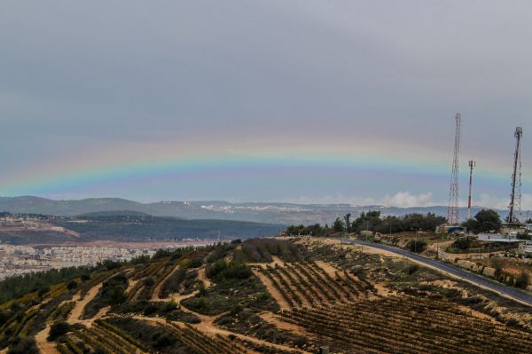 גשמי ברכה: הכנרת עלתה ב-4 ס"מ