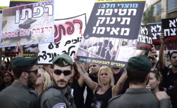 שו"ת: צער בעלי חיים מונע מתן תעודת כשרות?