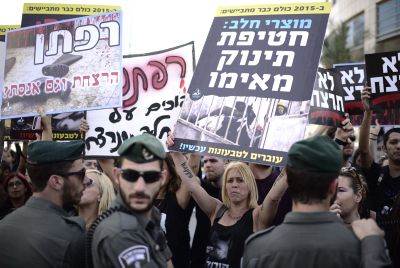 שו"ת: צער בעלי חיים מונע מתן תעודת כשרות?