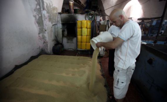 עקב המצב: הרבנות נגד הרשות הפלסטינית