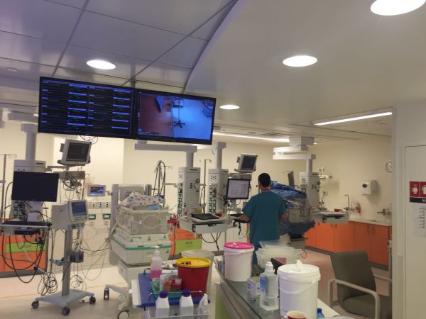 צוותי הפגיה הוקפצו: ברמב"ם נולדה רביעייה