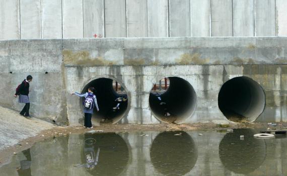 העמותה נפסלה כי חשפה זיהומים של פלסטינים