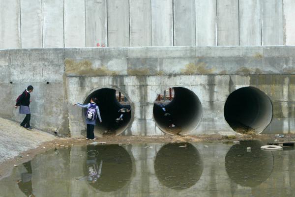 העמותה נפסלה כי חשפה זיהומים של פלסטינים