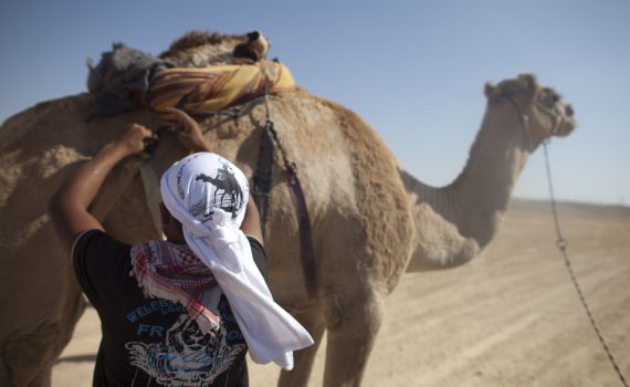 בדואי מתל שבע הצטרף לארגון ג'יהאד עולמי
